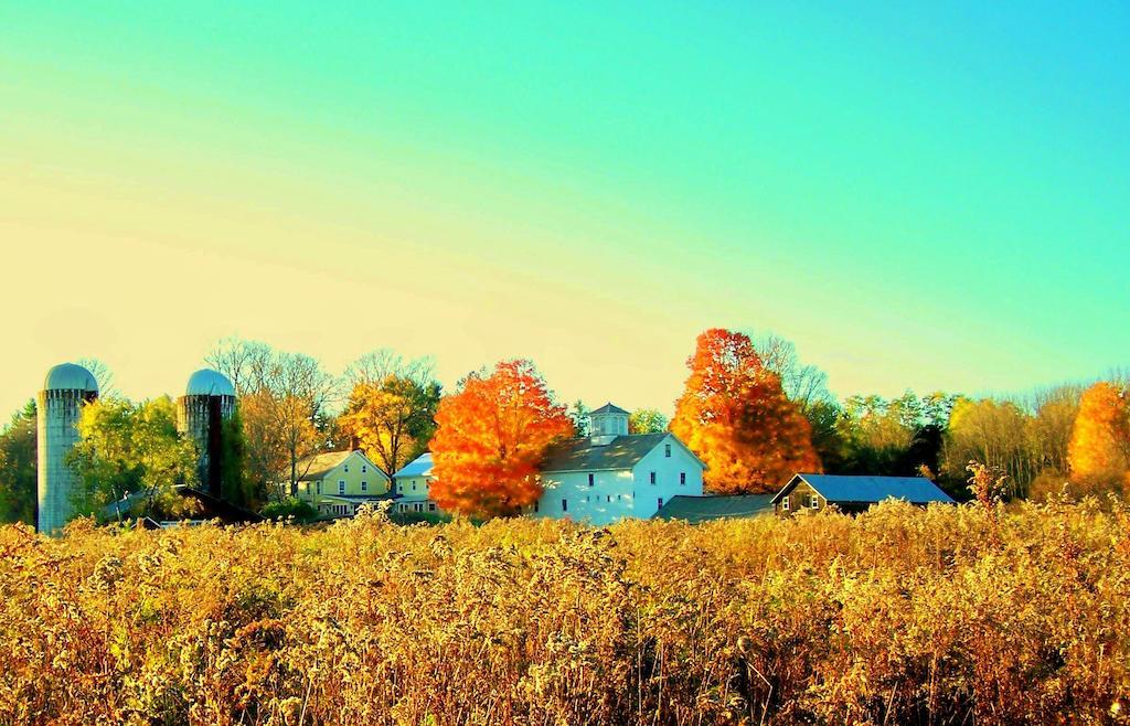 Saratoga Farmstead B&B Saratoga Springs Exteriér fotografie