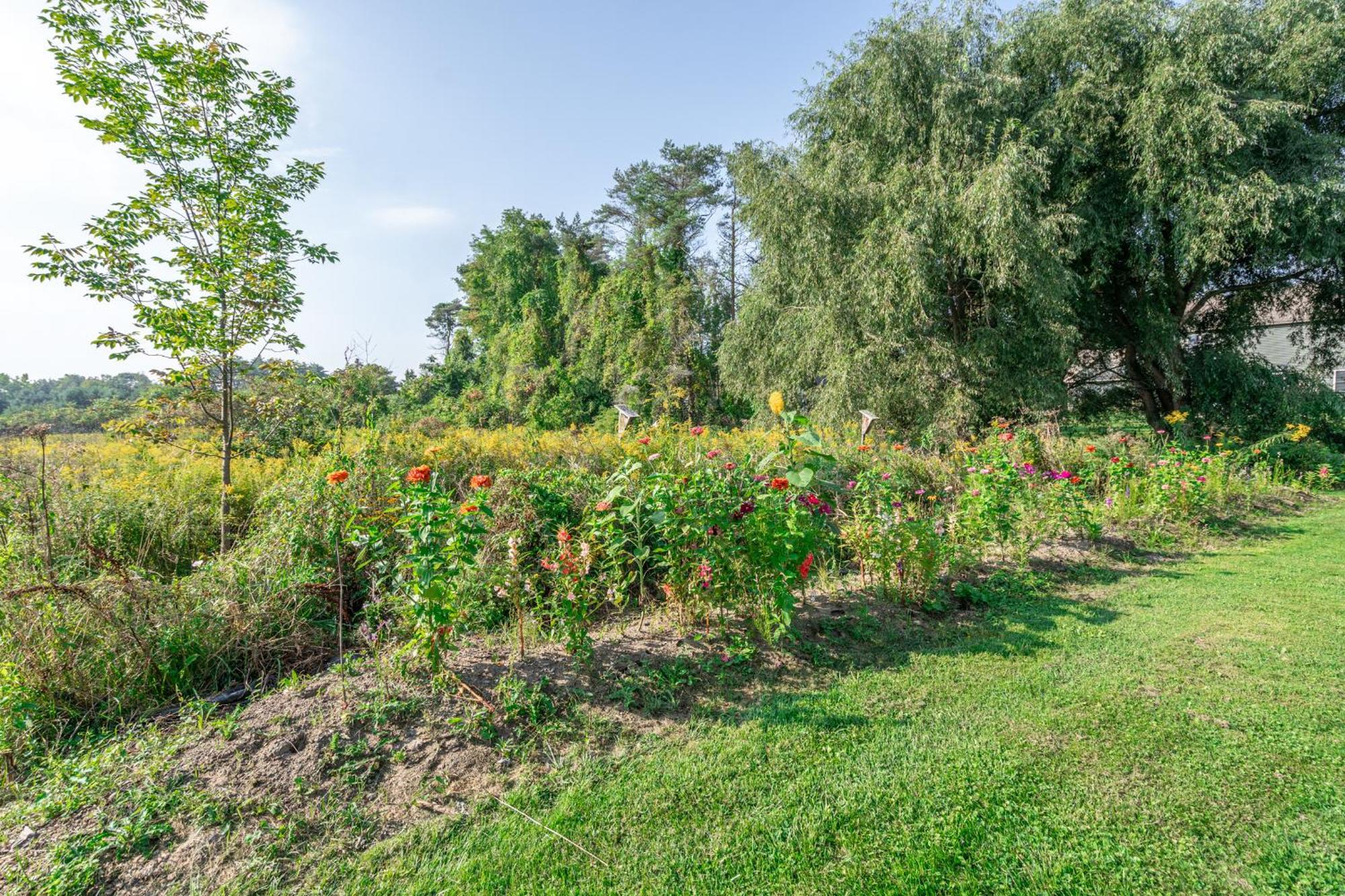 Saratoga Farmstead B&B Saratoga Springs Exteriér fotografie
